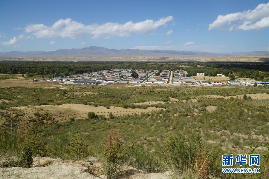（決戰(zhàn)決勝脫貧攻堅·圖文互動）（2）高原鄉(xiāng)鎮(zhèn)沙珠玉 治沙斗貧成“綠?！薄嗪Ｊ」埠涂h沙珠玉鄉(xiāng)采訪見聞