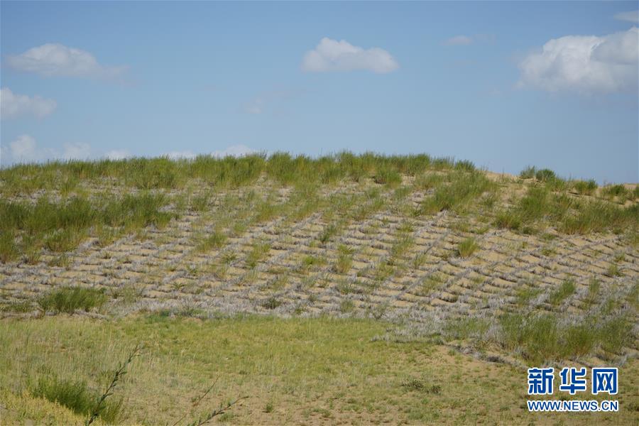 （決戰(zhàn)決勝脫貧攻堅·圖文互動）（3）高原鄉(xiāng)鎮(zhèn)沙珠玉 治沙斗貧成“綠?！薄嗪Ｊ」埠涂h沙珠玉鄉(xiāng)采訪見聞
