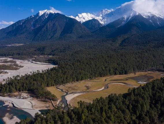 資料圖：西藏崗云杉林與遠(yuǎn)處的雪峰。 何蓬磊 攝