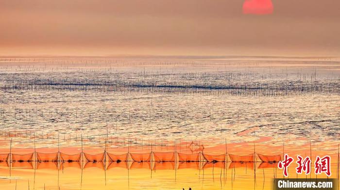 江蘇鹽城被譽(yù)為金灘銀蕩、魚米之鄉(xiāng)?！←}城市委宣傳部供圖