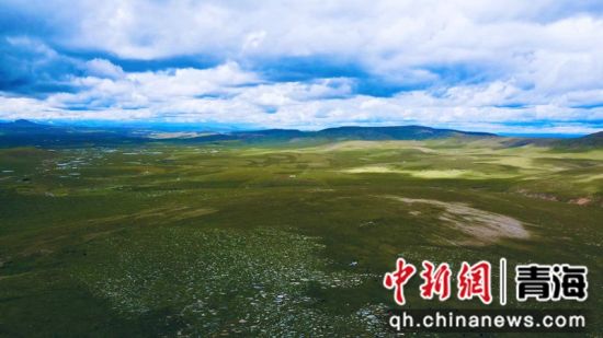 圖為長江南源沼澤濕地。李江寧攝