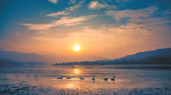 黃河冬之晨。