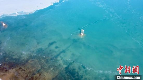 圖為冬日青海湖?！±罱瓕帯z