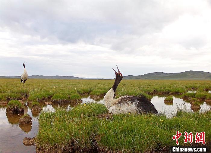 青海護衛(wèi)“中華水塔”守護“青海藍(lán)”