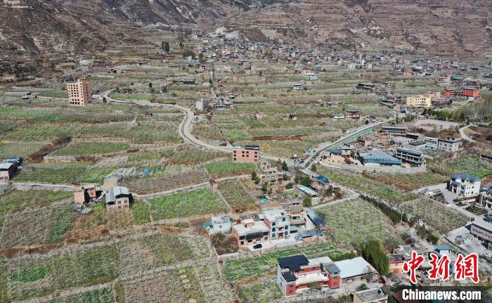 潔白的李花與村寨交相輝映，勾勒出一幅美麗的和諧生態(tài)畫卷?！『吻搴?攝