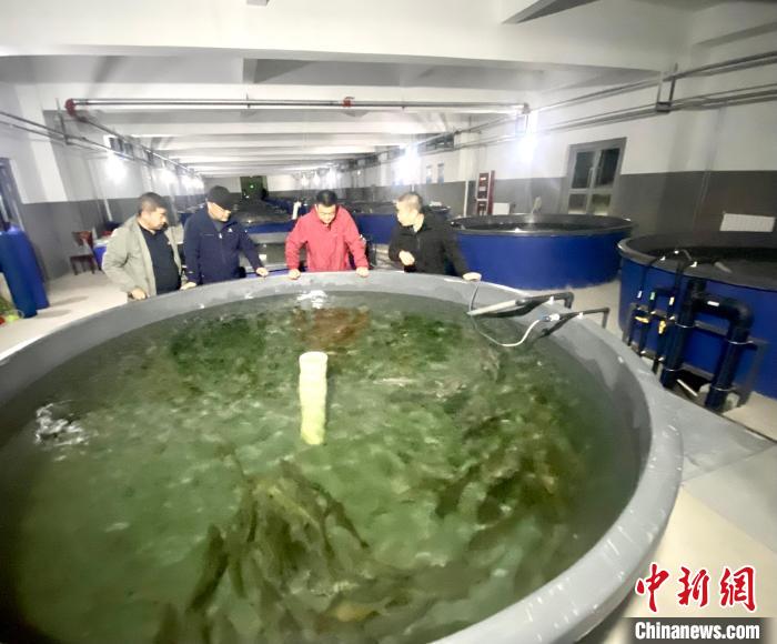 青海引大濟(jì)湟工程啟動(dòng)魚(yú)類增殖放流