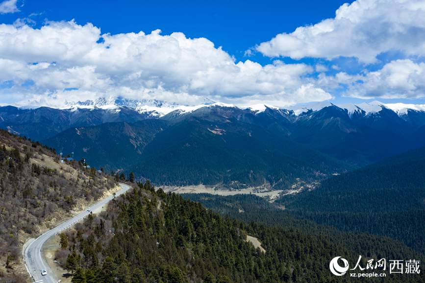 圖為在海拔4700多米的色季拉山，觀測(cè)從森林到草甸的多種植被類(lèi)型。