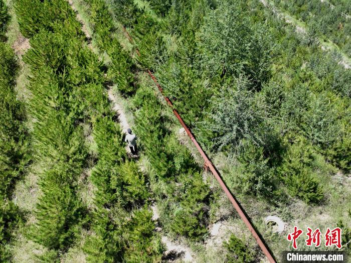 航拍建行青海省分行綠化區(qū)施工隊隊長盧占祥正在巡護綠化區(qū)?！∑钤鲚?攝