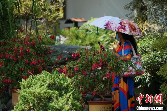 圖為市民在西寧園林植物園內(nèi)賞花拍照?！●R銘言 攝
