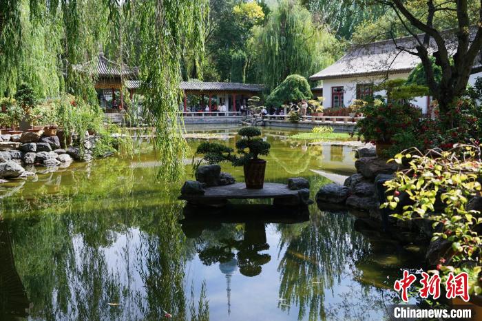 圖為西寧園林植物園秋日風景別有韻味?！●R銘言 攝