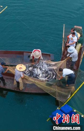 捕魚(yú)現(xiàn)場(chǎng)?！≈鬓k方供圖