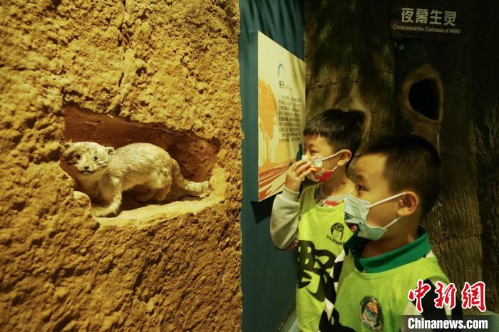 圖為小朋友在青海西寧湟水國家濕地公園科普館內參觀學習?！●R銘言 攝