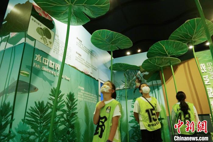 圖為小朋友在青海西寧湟水國家濕地公園科普館內參觀學習?！●R銘言 攝