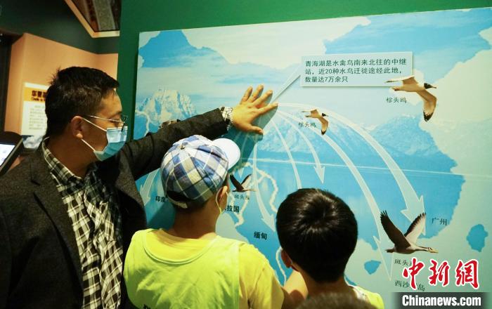 圖為小朋友在青海西寧湟水國家濕地公園科普館內參觀學習?！●R銘言 攝