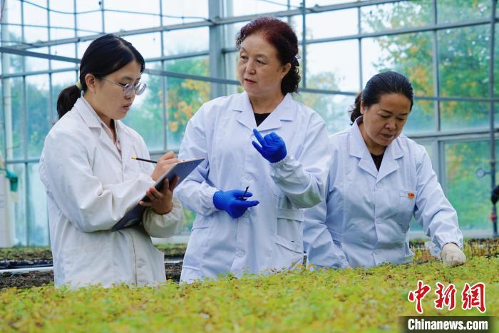 圖為張錦梅(中)與同事在討論數(shù)據(jù)。馬銘言 攝