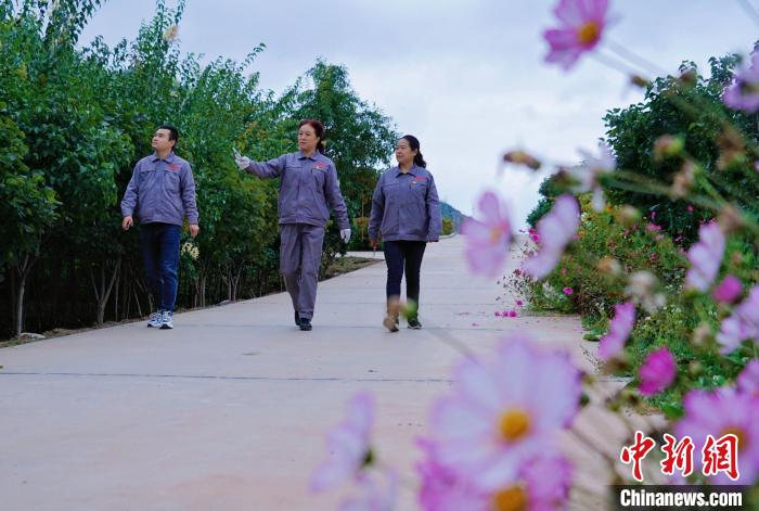 圖為張錦梅(中)與同事在西寧北山查看丁香樹?！●R銘言 攝