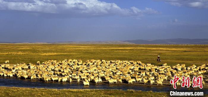 青?，敹唷鞍渍渲椤弊尠傩斟X袋鼓起來