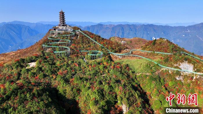 巴山大峽谷彩林迎來(lái)最佳觀賞期?！∫κ?攝