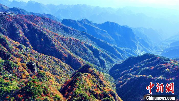 巴山大峽谷彩林迎來(lái)最佳觀賞期?！埰?攝