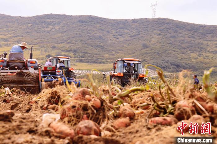 青海東部農(nóng)業(yè)區(qū)：“一分川、一分水、八分山”里“刨金記”