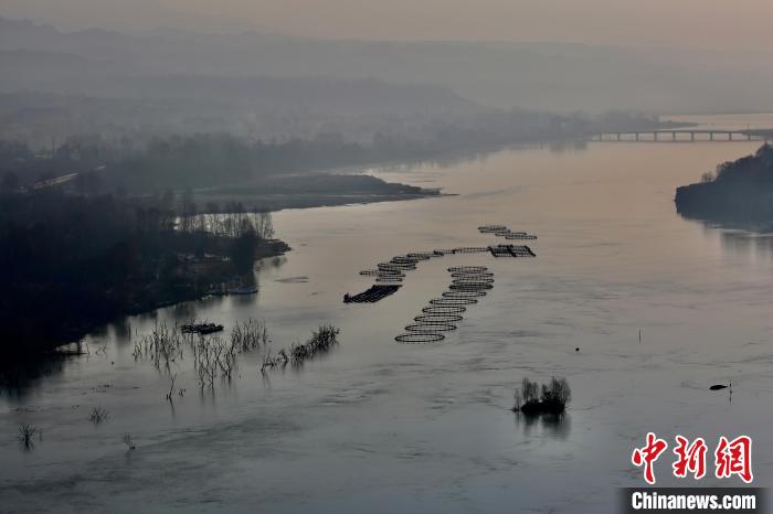 圖為冷水魚養(yǎng)殖?！±钣穹?攝