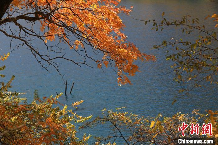 松坪溝風(fēng)光?！⑼?攝