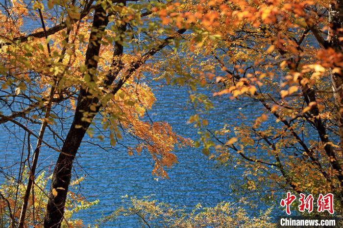 松坪溝風(fēng)光?！⑼?攝