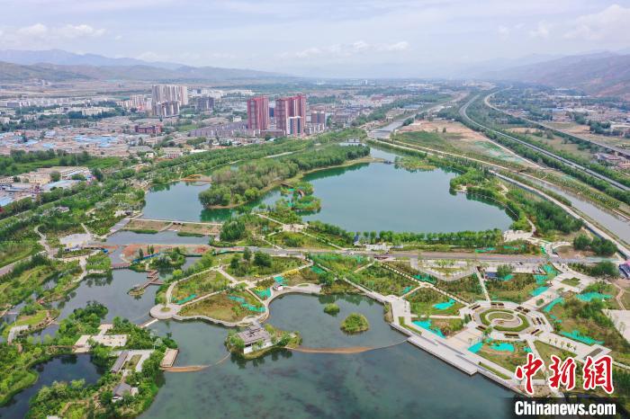 青海湟水規(guī)模化林場營造林項目3年增加務工收入4億元