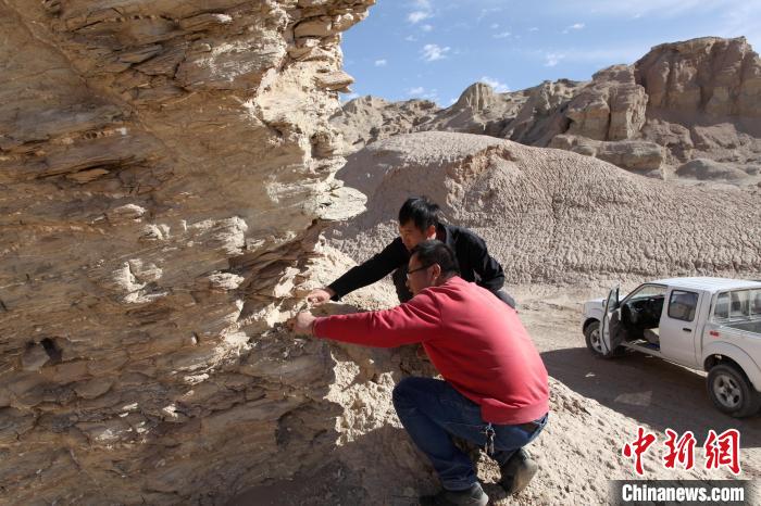 圖為地質(zhì)專家觀察鹽類沉積地層。(資料圖) 柴綜院 供圖
