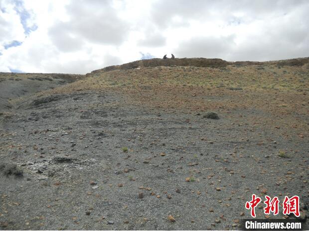 圖為本次研究的藏南曲布剖面二疊紀(jì)末期黑色頁巖?！∧瞎潘?供圖