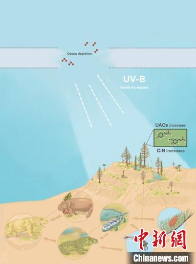 臭氧層破壞引起的紫外線輻射增加對陸地食物鏈的影響?！∧瞎潘?供圖