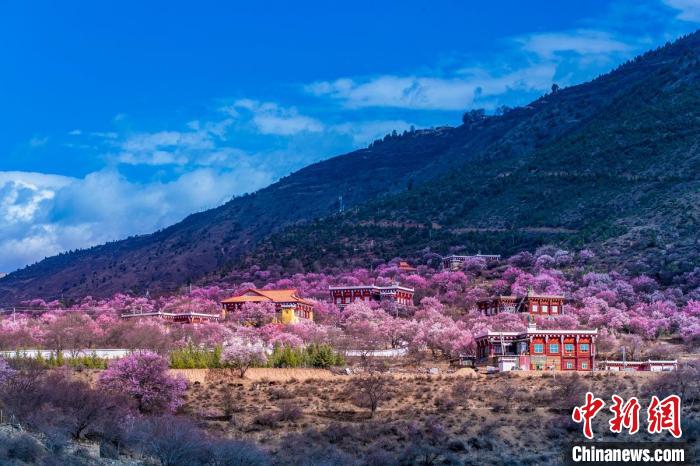 美麗的鄉(xiāng)村畫卷?！『涡秀?攝