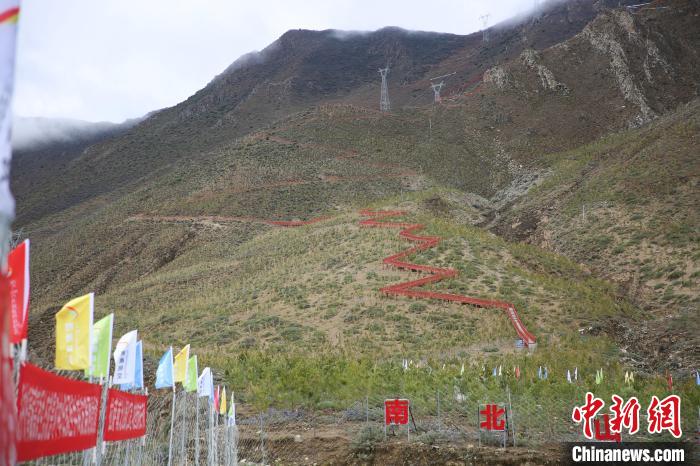 圖為拉薩南北山綠化工程拉薩曲水縣才納村5號(hào)片區(qū)?！∝暣_ 攝