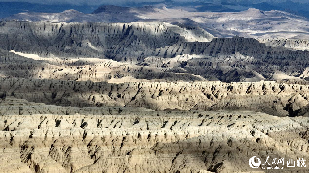 西藏阿里地區(qū)札達(dá)土林國(guó)家地質(zhì)公園。人民網(wǎng)記者 次仁羅布攝