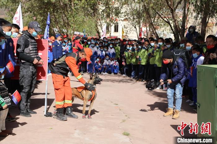圖為搜救犬服從和箱體搜救演練?！≮w琳 攝