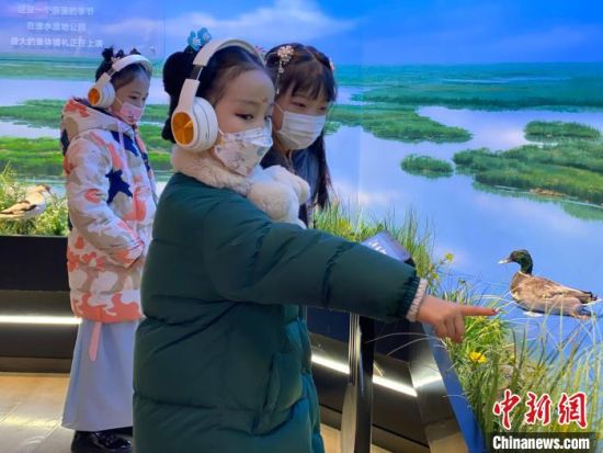 圖為學(xué)生在西寧市第一中學(xué)濕地科普宣教館內(nèi)參觀?！±罱瓕?攝