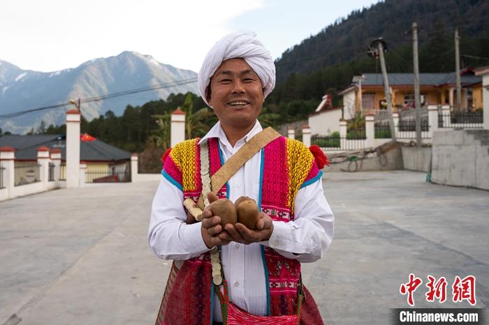 1月29日，京都村委會(huì)主任阿胖正在展示該村種植的獼猴桃。<a target='_blank' ><p  align=