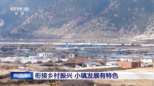 種蘑菇、養(yǎng)駱駝...。。特色產(chǎn)業(yè)助力鄉(xiāng)村振興走新路