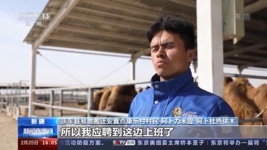 種蘑菇、養(yǎng)駱駝...。。特色產(chǎn)業(yè)助力鄉(xiāng)村振興走新路