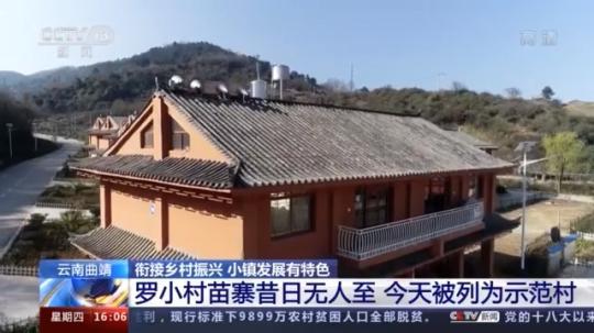 種蘑菇、養(yǎng)駱駝...。。特色產(chǎn)業(yè)助力鄉(xiāng)村振興走新路