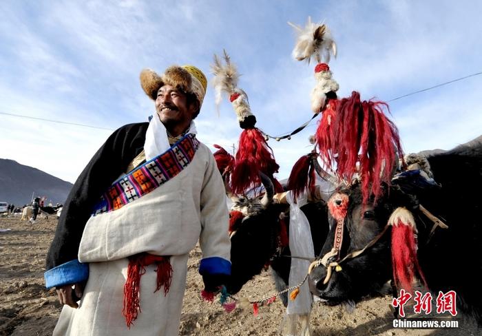 資料圖為2013年3月16日，拉薩市堆龍德慶區(qū)德慶村的農(nóng)民牽著牦牛參加春耕儀式，按照傳統(tǒng)方式由牦牛開第一犁。 <a target='_blank' href='/'><p  align=