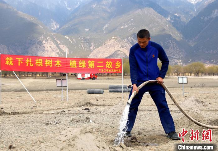 林芝市巴宜區(qū)森林消防中隊志愿服務(wù)隊澆水灌溉?！∥骼@拉翁 攝