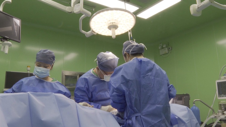 非洲各界點(diǎn)贊“和平方舟”：對中國為世界發(fā)展所做的一切說“謝謝”