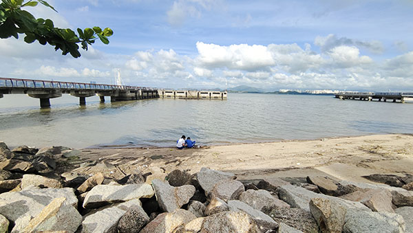 深圳紅樹林灘涂，留給了孩子們親近自然的空間。人民網(wǎng)記者 李彤攝