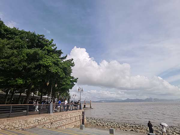 紅樹林灘涂沿線一角。人民網(wǎng)記者 張素玲攝