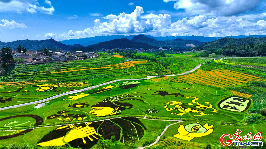 云南清水：延伸公共法律服務(wù)觸角，讓普法與民族團結(jié)進步互促共融