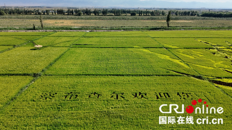 圖片默認(rèn)標(biāo)題_fororder_圖片1