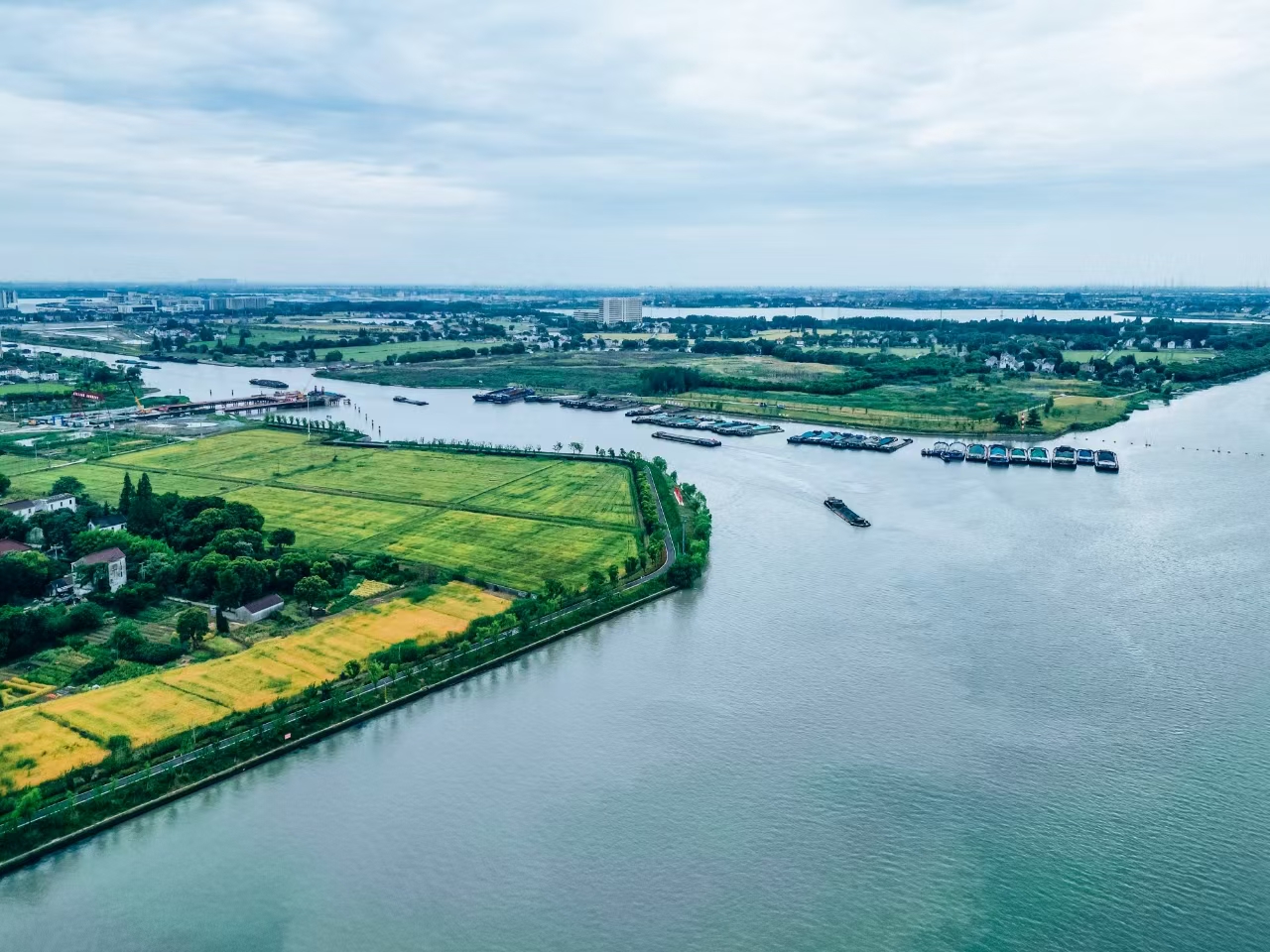 太浦河沿岸好風(fēng)光。吳橫軒攝