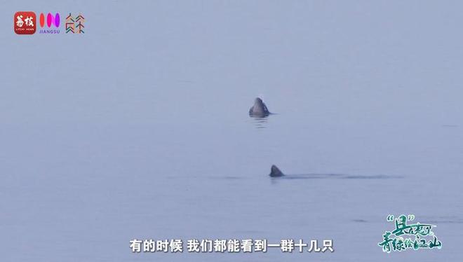 “縣”在起筆 青綠繪江山 | 江灣沐曉：褪去“銹色”走“金線”，繡出生態(tài)與產(chǎn)業(yè)“雙面錦”