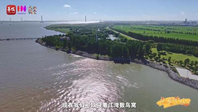 “縣”在起筆 青綠繪江山 | 江灣沐曉：褪去“銹色”走“金線”，繡出生態(tài)與產(chǎn)業(yè)“雙面錦”